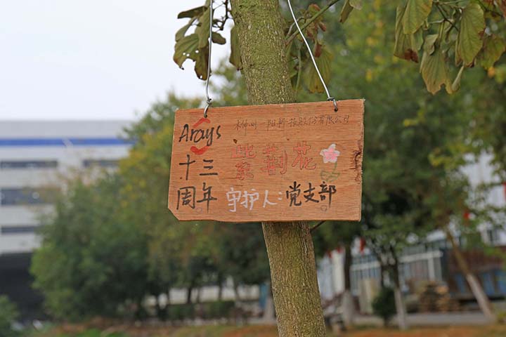 8.jpg 8.jpg